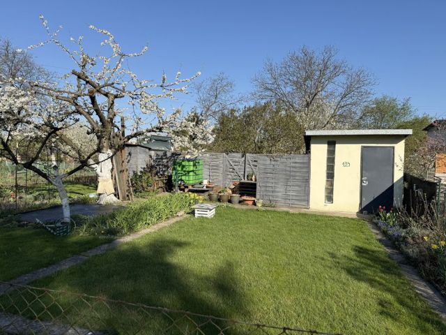 Działka rod Wrocław Stare Miasto. Zdjęcie 1