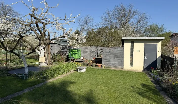 Działka rod Wrocław Stare Miasto