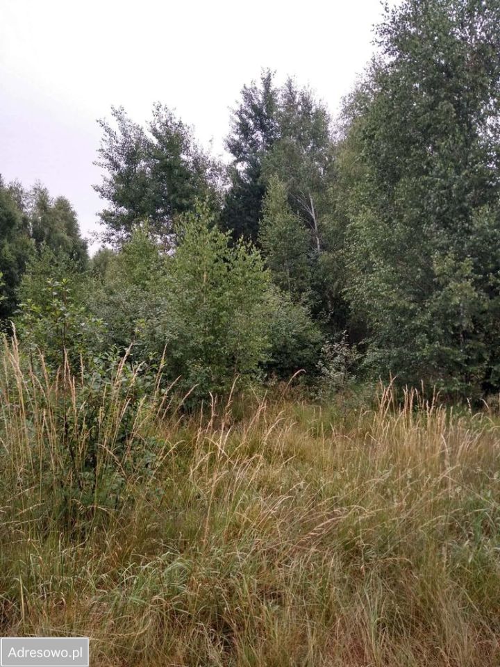 Działka rekreacyjna Nowa Jedlanka. Zdjęcie 6