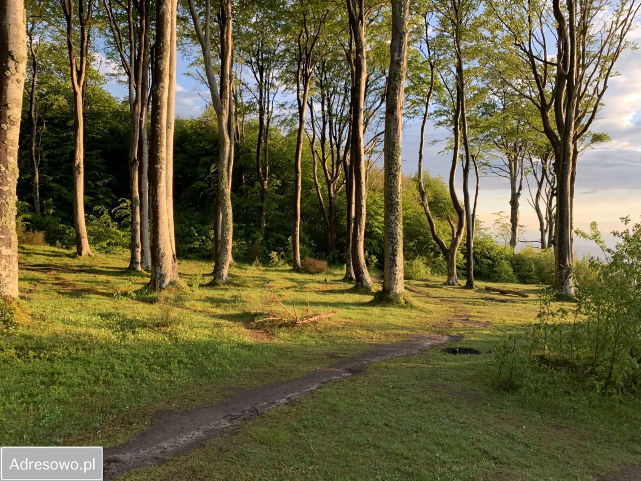 Hotel/pensjonat Dębina, ul. Świerkowa. Zdjęcie 10