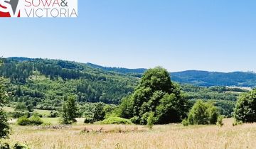 Działka rolna Sierpnica