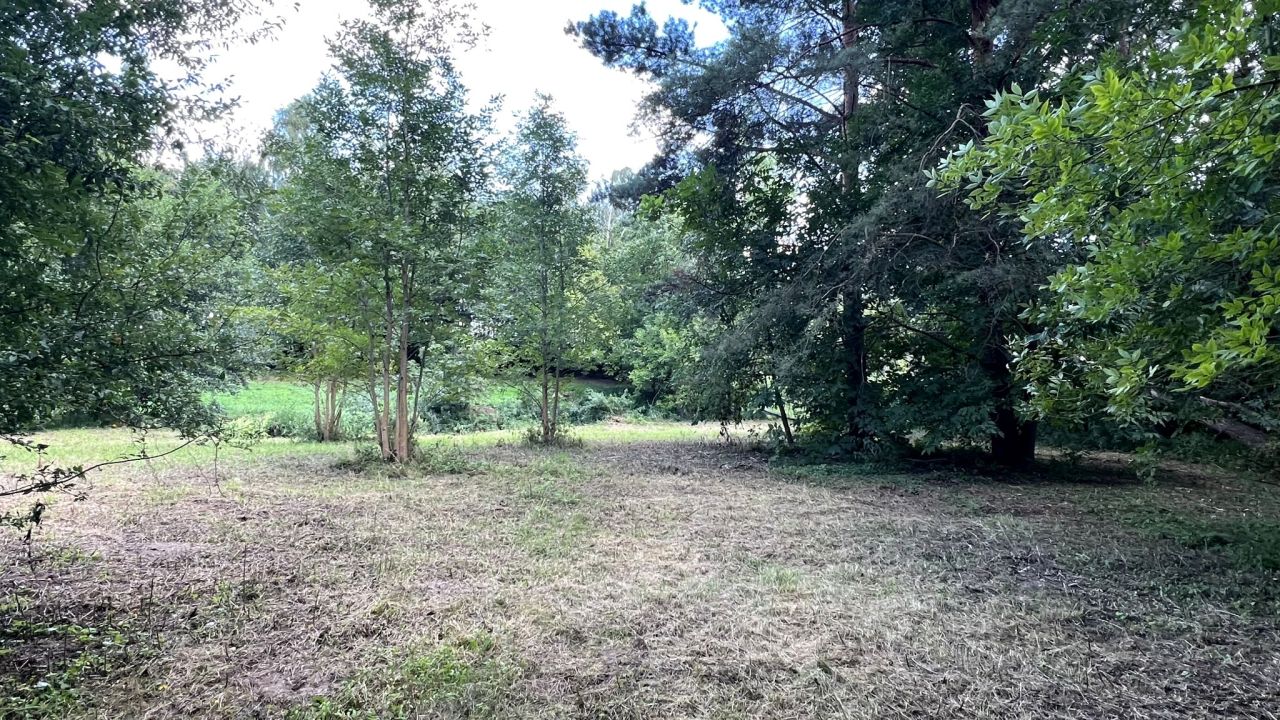 Działka rekreacyjna Mirowice, ul. Sarenki. Zdjęcie 20