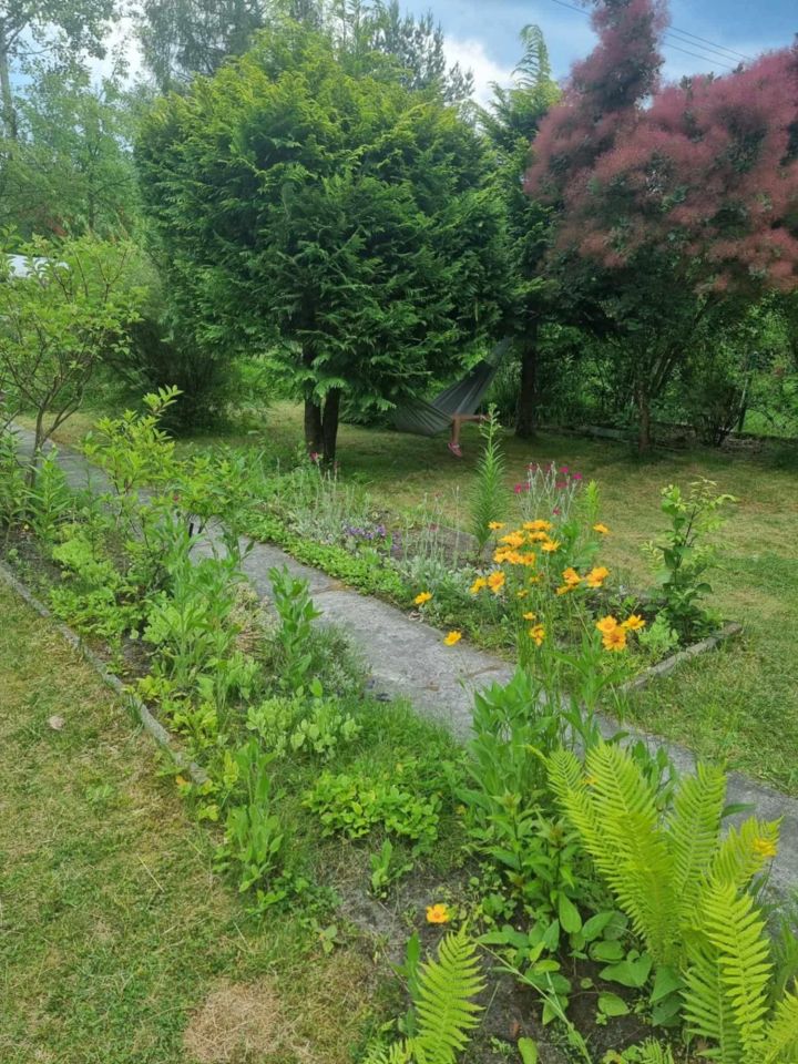 Działka rod Otwock. Zdjęcie 3