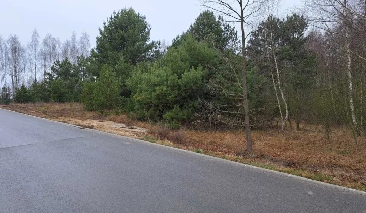 Działka rekreacyjna Suchodół Szlachecki