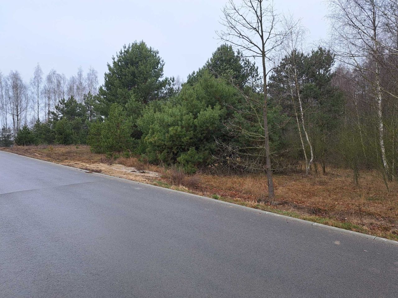 Działka rekreacyjna Suchodół Szlachecki. Zdjęcie 1