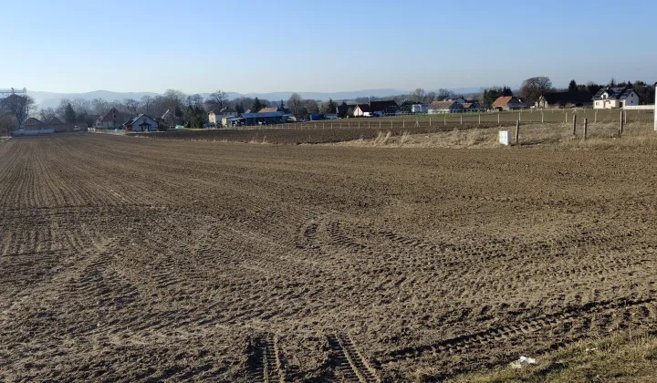 Działka budowlana Uciechów, ul. Leśna