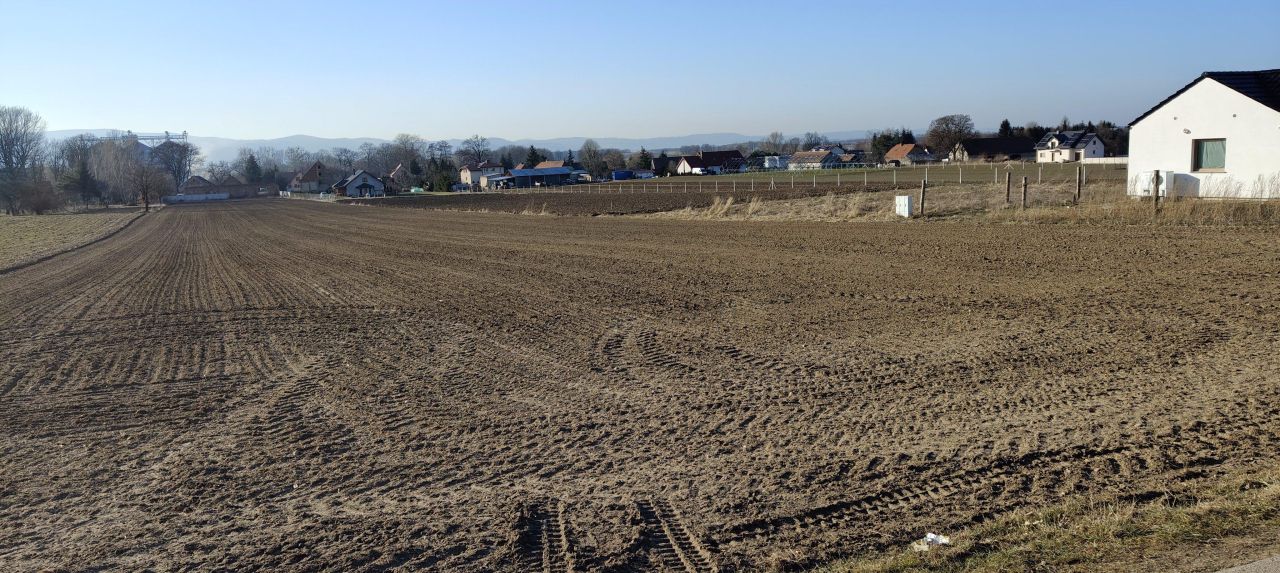 Działka budowlana Uciechów, ul. Leśna. Zdjęcie 1