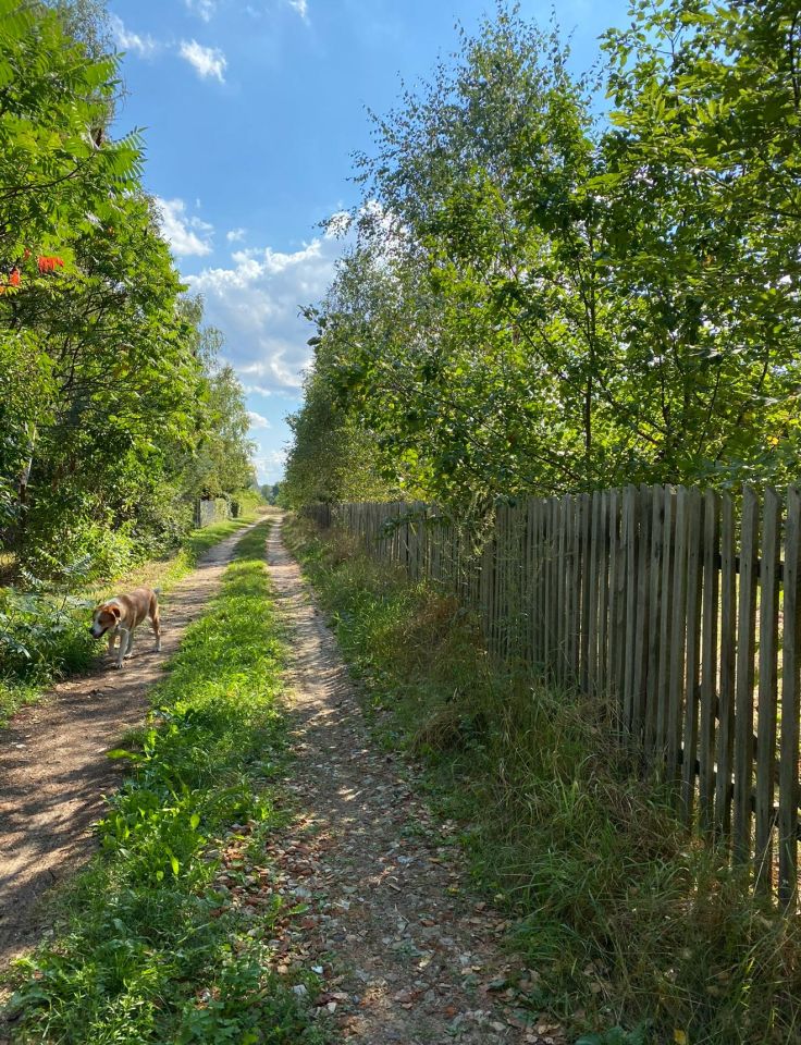 Działka budowlana Arciechów Dąbrowa, ul. Pod Świerkami. Zdjęcie 4