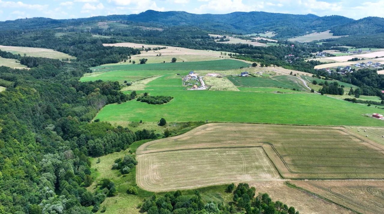 Działka rekreacyjna Wojciechowice. Zdjęcie 6