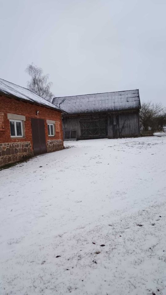 gospodarstwo, 3 pokoje Dąbrówka. Zdjęcie 6