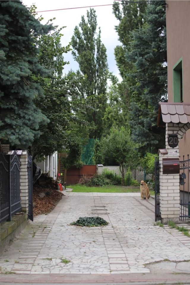 bliźniak Sulechów. Zdjęcie 2