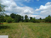 Działka rolno-budowlana Wola Karczewska, ul. Rzeki. Zdjęcie 4