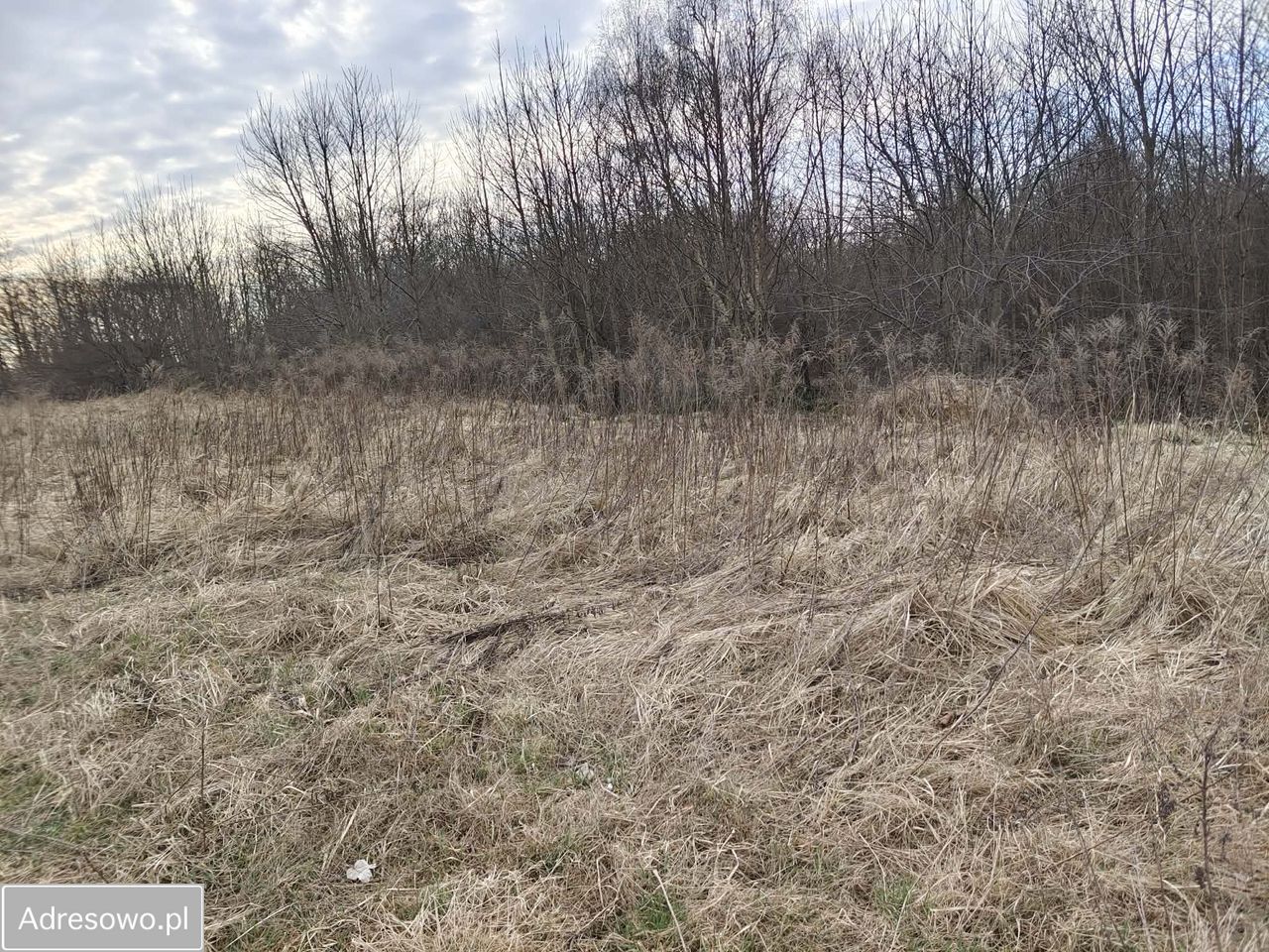 Działka budowlana Wiślinka, ul. Sportowa. Zdjęcie 7