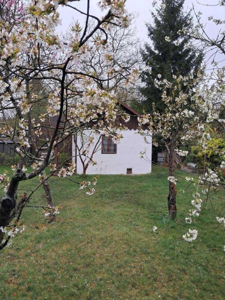 Działka rod Żagań. Zdjęcie 3