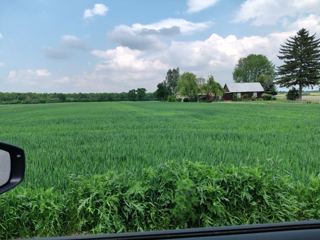 Działka budowlana Łuszczów Drugi. Zdjęcie 3