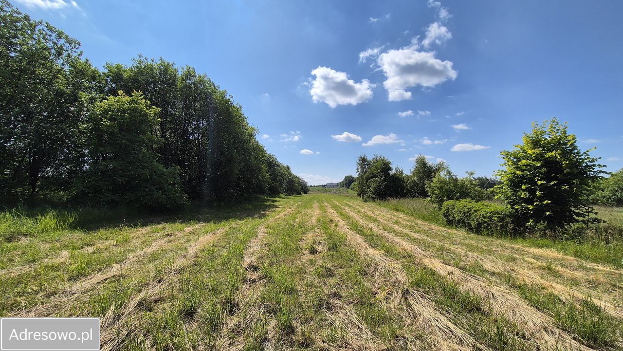 Działka rolno-budowlana Smardzowice. Zdjęcie 3