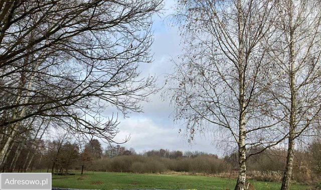 Działka budowlana Granica, ul. Barbary. Zdjęcie 1