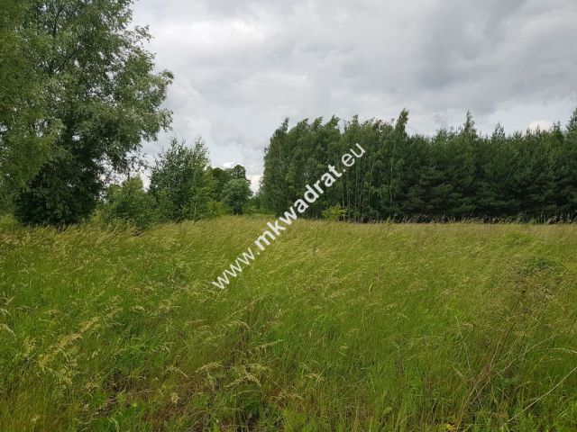 Działka inwestycyjna Jaktorów-Kolonia. Zdjęcie 2