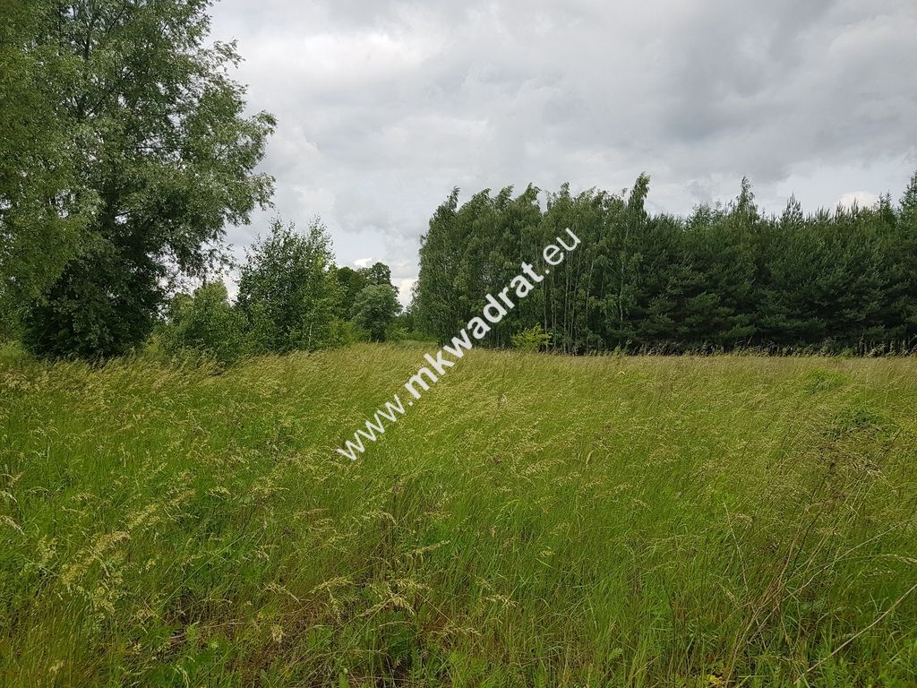 Działka inwestycyjna Jaktorów-Kolonia. Zdjęcie 2