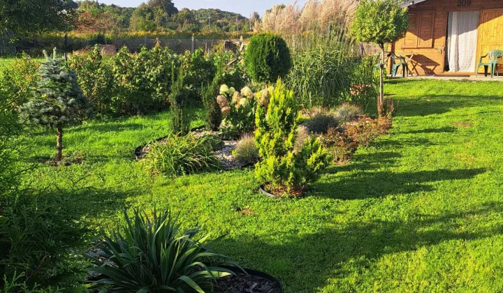 Działka rod Pruszcz Gdański