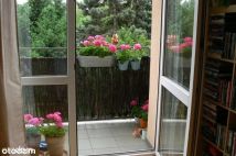 Mieszkanie 2-pokojowe Poznań Dębiec, ul. Kasztanowa. Zdjęcie 3