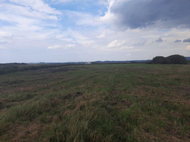 Działka rolna Heliodorowo. Zdjęcie 1