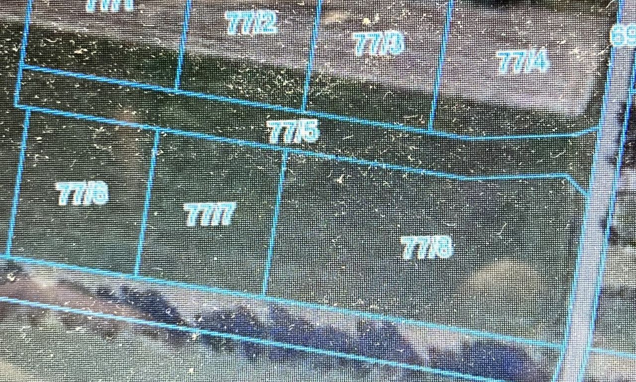 Działka budowlana Bibianna. Zdjęcie 2