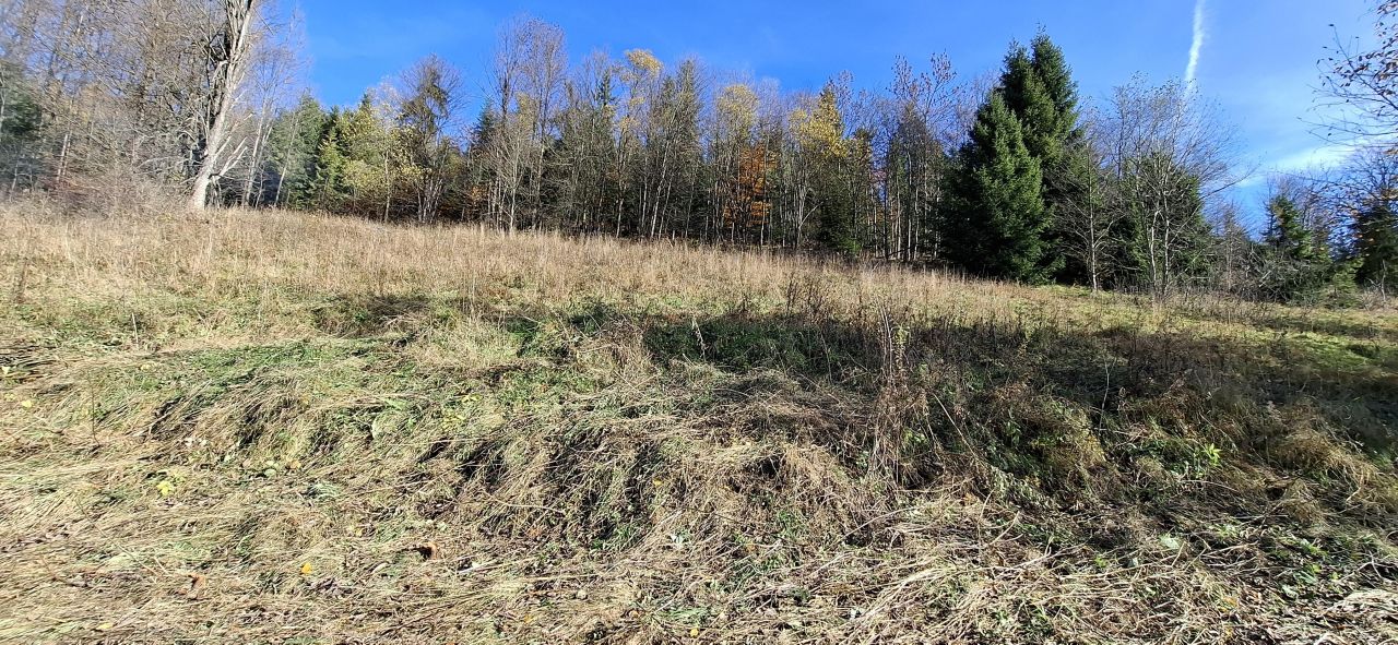 Działka budowlana Podszkle. Zdjęcie 6