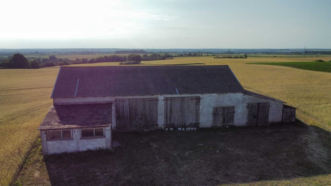 Działka siedliskowa Cielęta. Zdjęcie 6