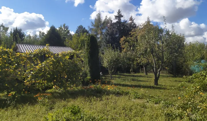 Działka rod Niedźwiada