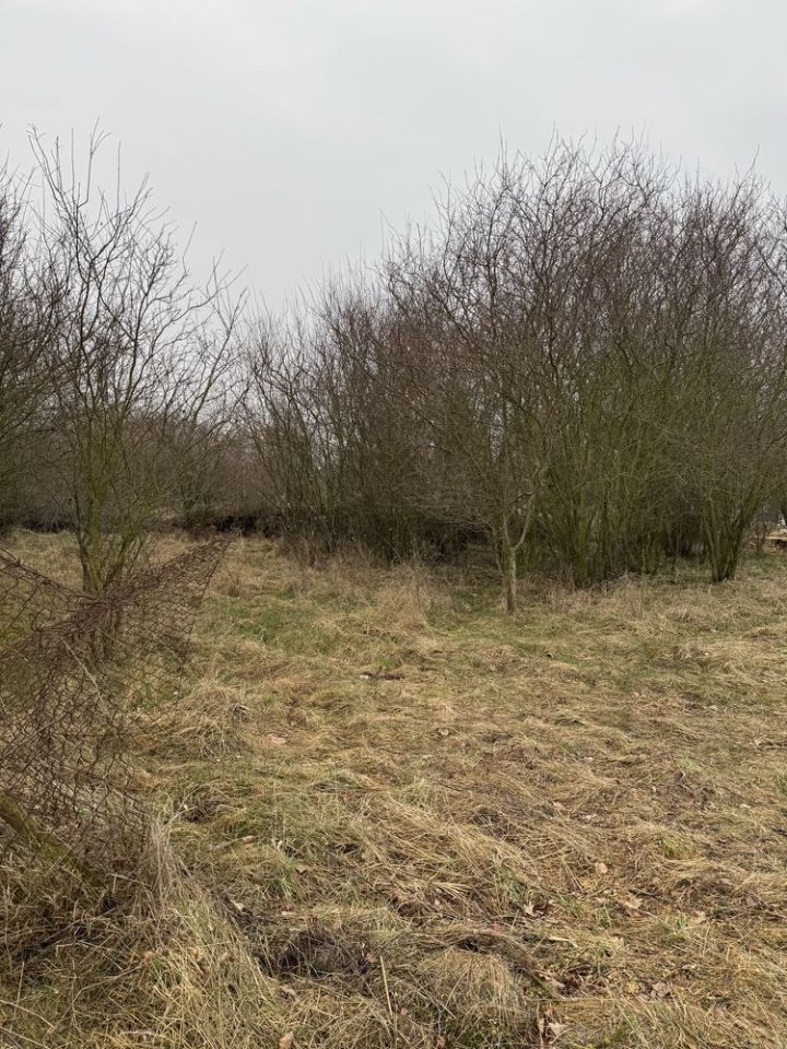 Działka budowlana Zębowo, ul. Łąkowa. Zdjęcie 7