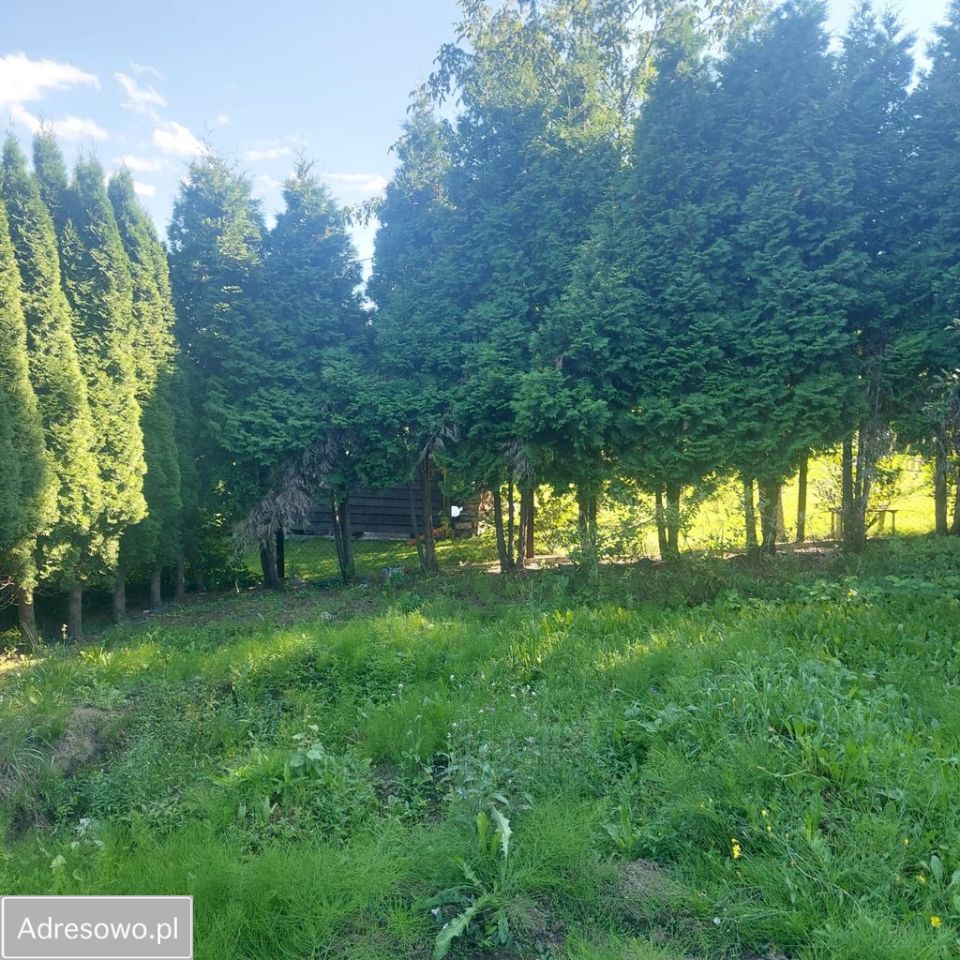 Działka rod Wiślica. Zdjęcie 5