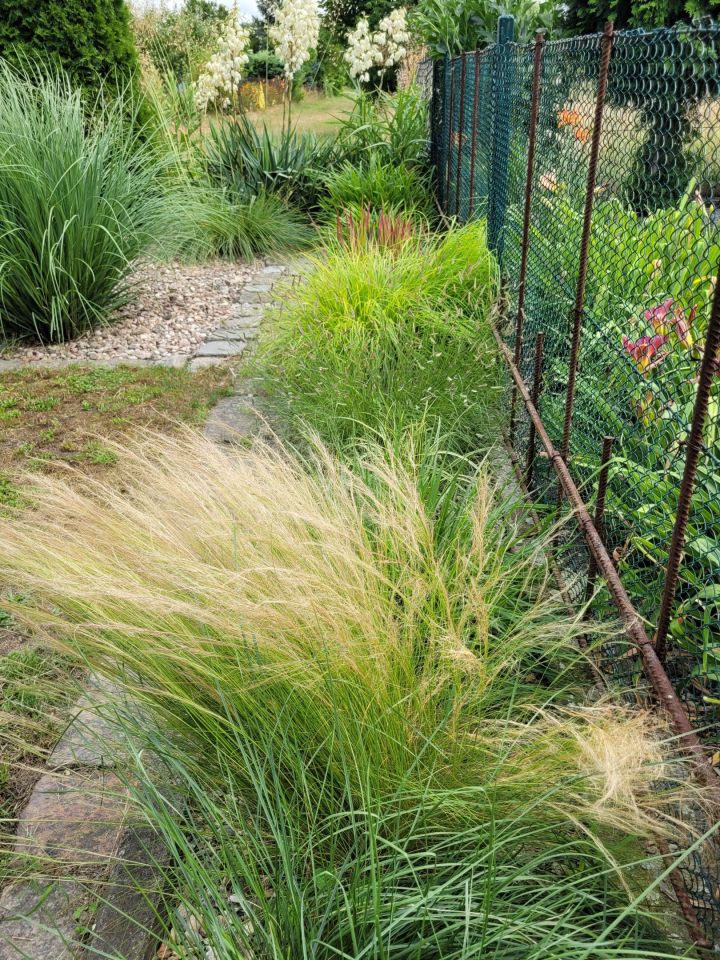 Działka rekreacyjna Wrocław Fabryczna, ul. Wojanowska. Zdjęcie 9