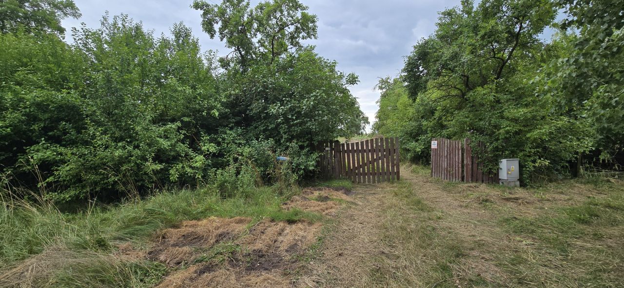 Działka rolna Krzymów. Zdjęcie 3