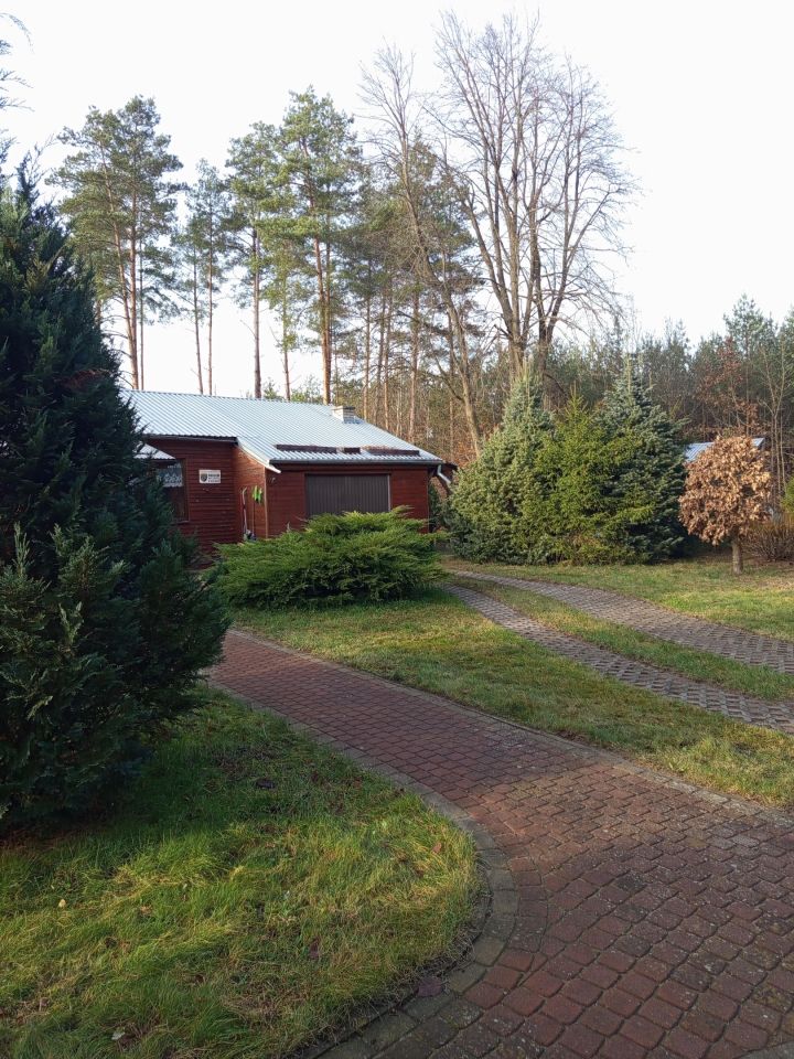 dom wolnostojący, 4 pokoje Płozy. Zdjęcie 6