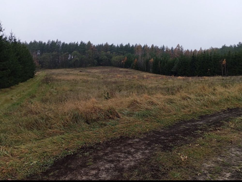 Działka siedliskowa Jakunówko. Zdjęcie 8