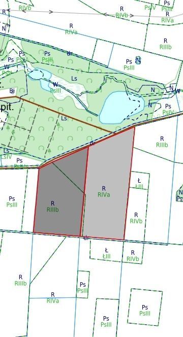 Działka rolna Rudziszki. Zdjęcie 2