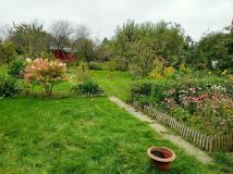 Działka rod Gdańsk Rębiechowo. Zdjęcie 2