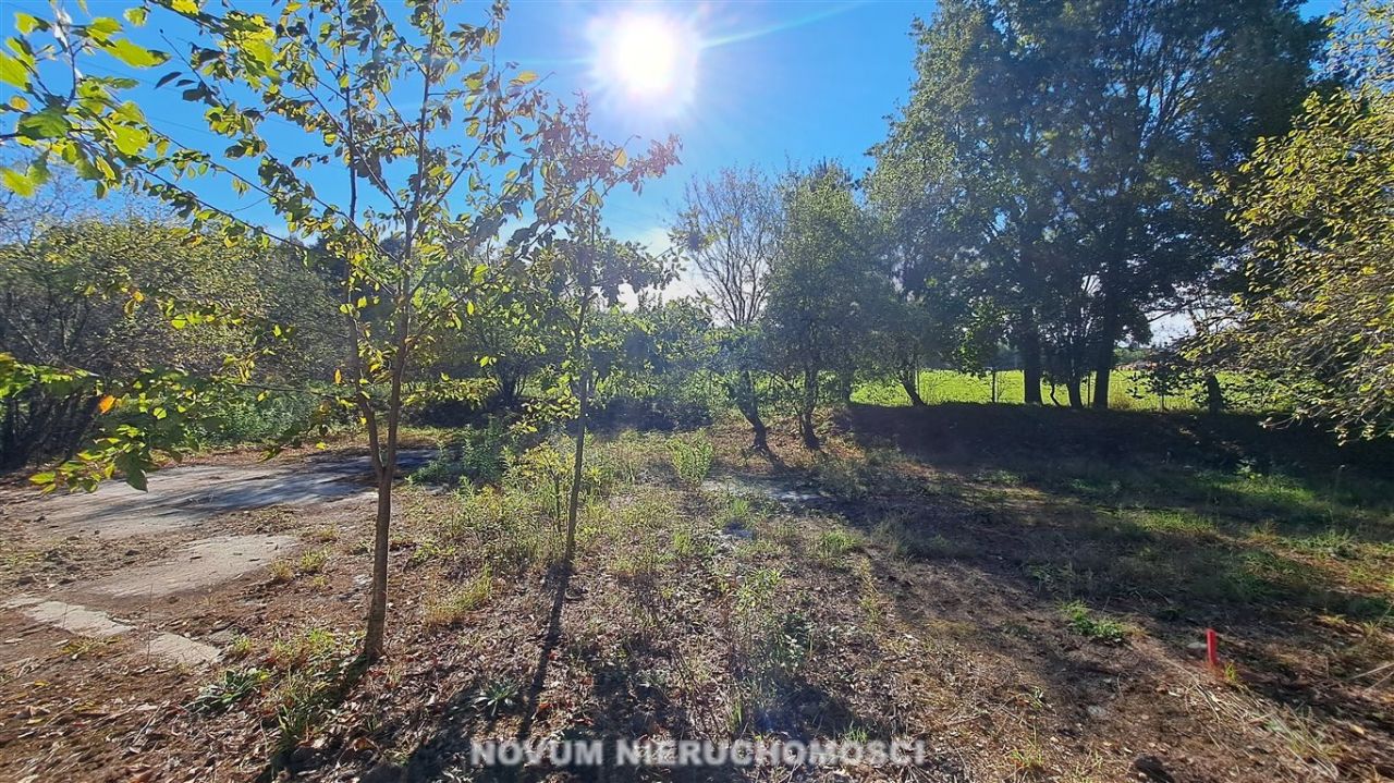 Działka rolno-budowlana Szałsza. Zdjęcie 4