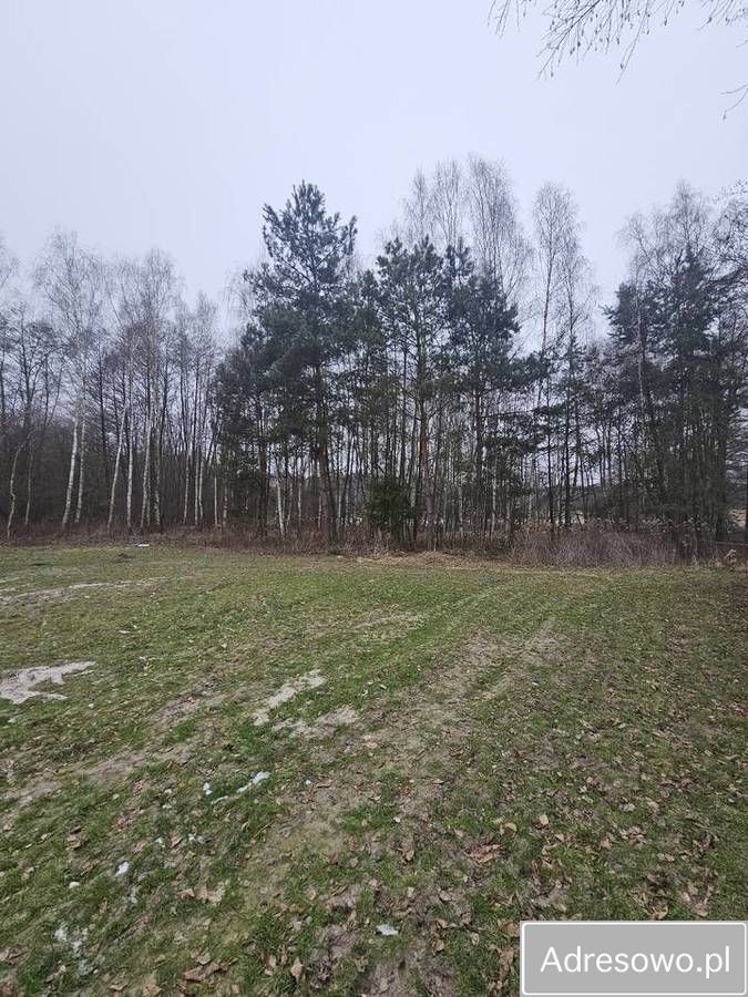 Działka budowlana Łazy Wielkie. Zdjęcie 10