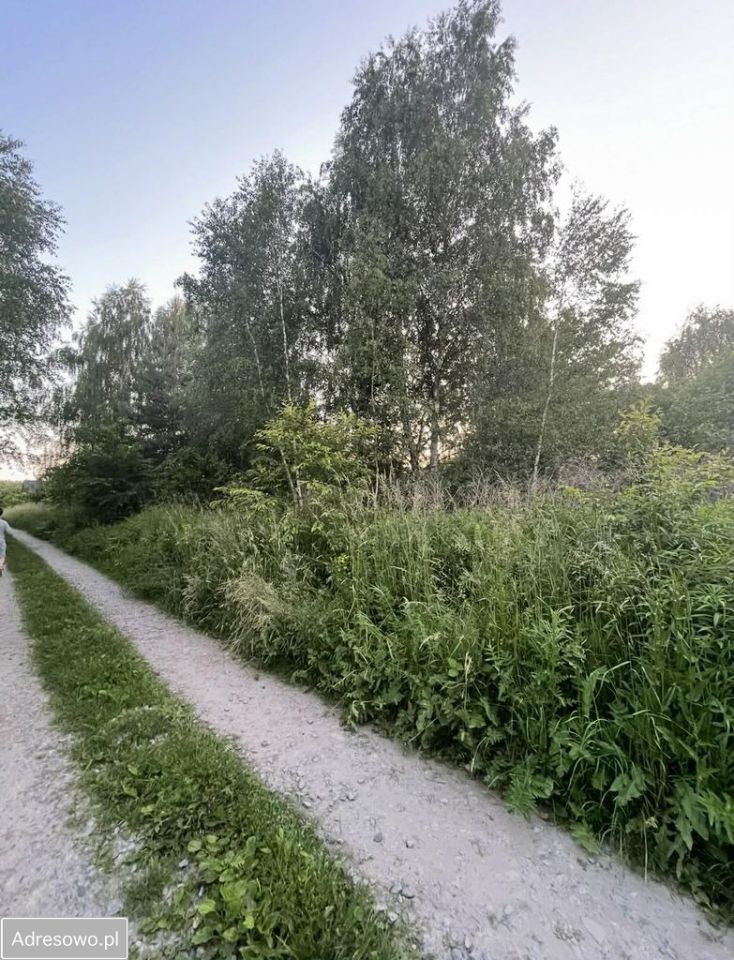 Działka rolno-budowlana Bielicha, ul. Aroniowa. Zdjęcie 2