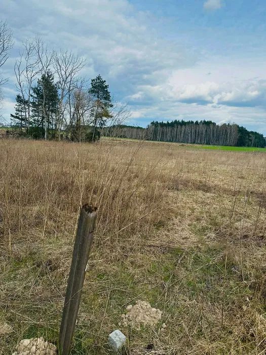 Działka budowlana Czerwonka Szlachecka. Zdjęcie 3