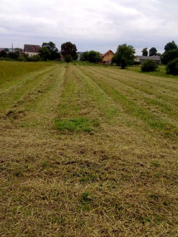 Działka budowlana Opole Lubelskie, ul. Zagrody. Zdjęcie 1