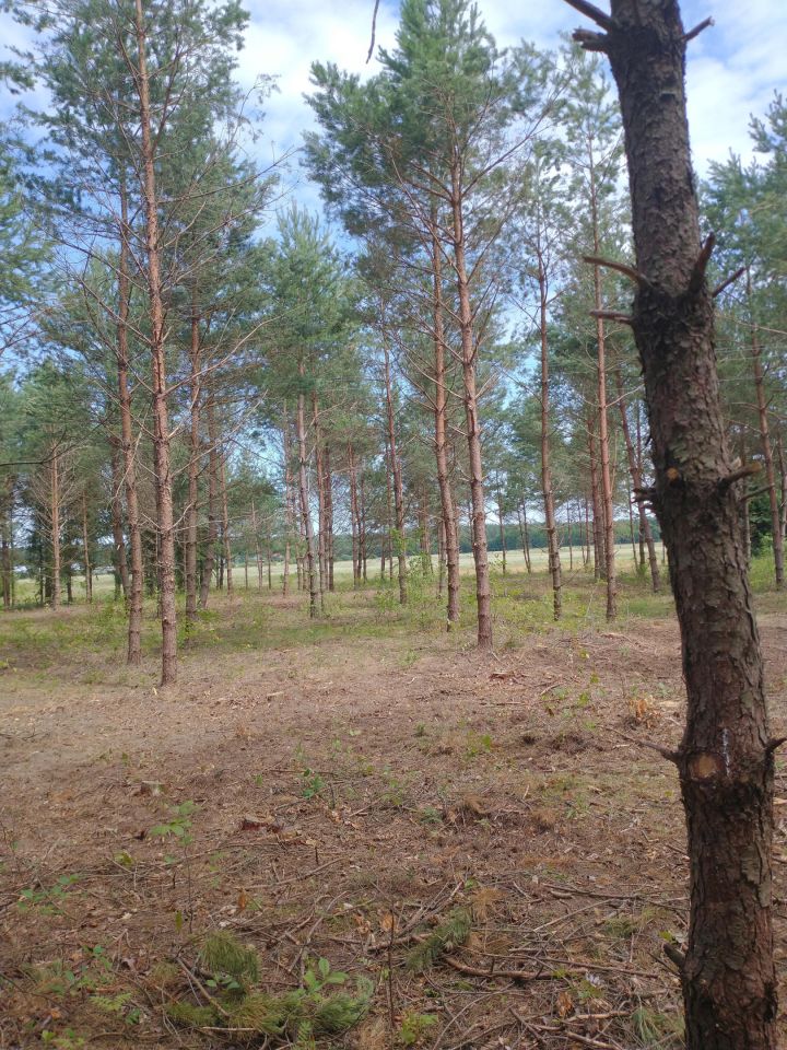 Działka budowlana Macharce, ul. Wilcza. Zdjęcie 4