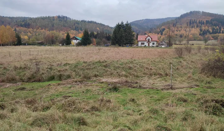 Działka budowlana Kamienna