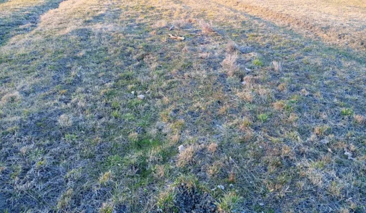 Działka budowlana Sowliny