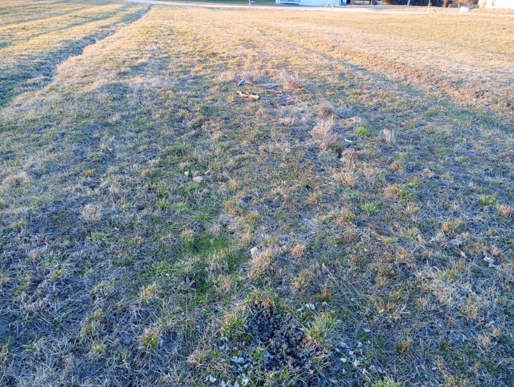 Działka budowlana Sowliny. Zdjęcie 1