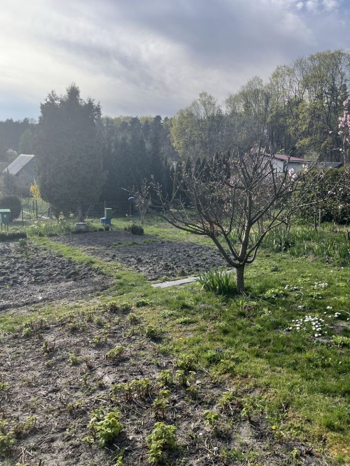 Działka rod Kraków Podgórze. Zdjęcie 3