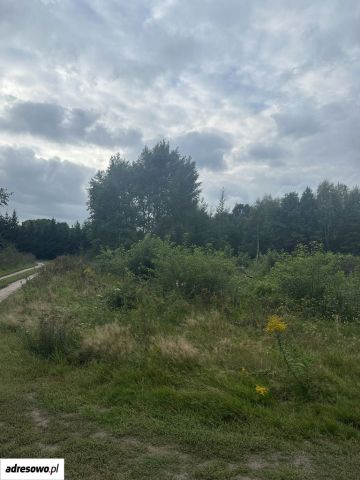 Działka budowlana Zielona Góra Ochla, ul. Ochla-Pustynna. Zdjęcie 1