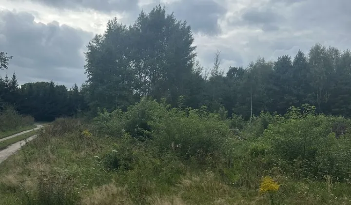 Działka budowlana Zielona Góra Ochla, ul. Ochla-Pustynna